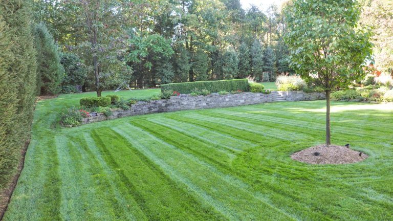 Experience the Best Lawn Services in Rosemount, MN with Best Lawn Guy